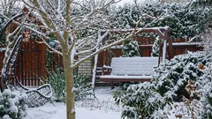 Tâches importantes à effectuer dans le jardin et le potager en janvier