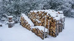 Comment sécher le bois en hiver ? La méthode canadienne pour sécher le bois au soleil. Simple, efficace et idéale pour le bois tendre.