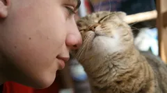 Comment un chat décide qui il aime le plus