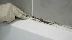 La jointure dans la salle de bain a noirci ? Nous vous conseillons comment remplacer correctement le matériau d'étanchéité.